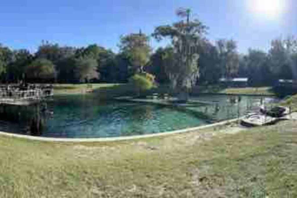 The Botanical Retreat, King Comfort & Poolside Peace Gainesville Kültér fotó
